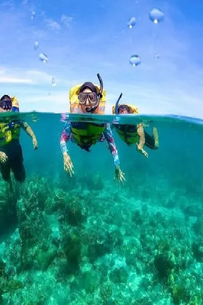 Andaman tour packages by veetrips