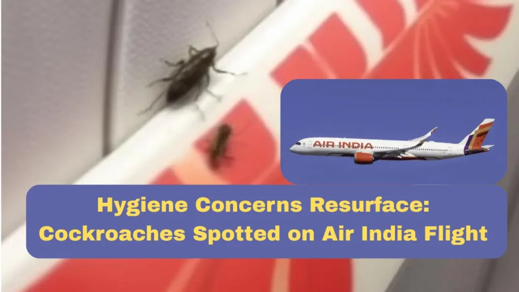 Hygiene Concerns Resurface: Cockroaches Spotted on Air India Flight