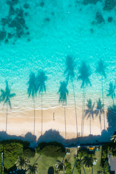 goa travel agency
