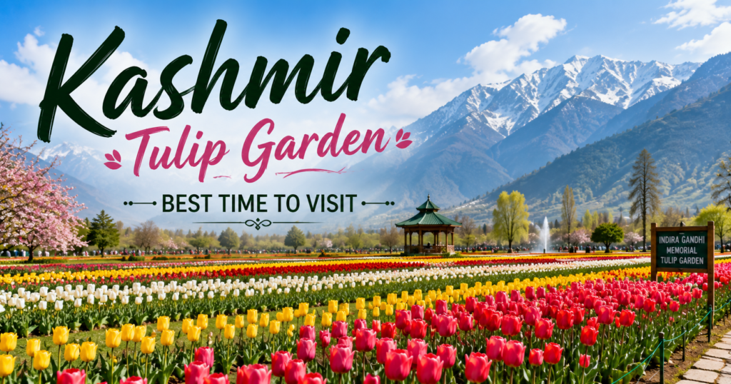 Veetrips Kashmir Tulip Garden best time to visit