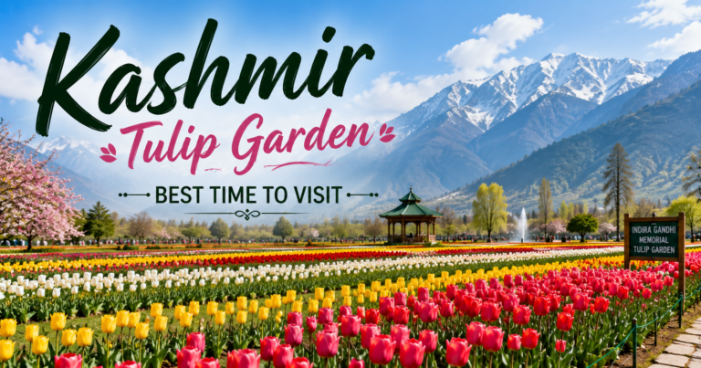 Veetrips Kashmir Tulip Garden best time to visit