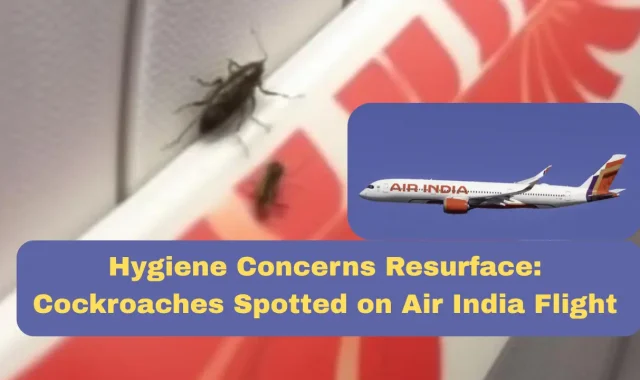 Hygiene Concerns Resurface: Cockroaches Spotted on Air India Flight