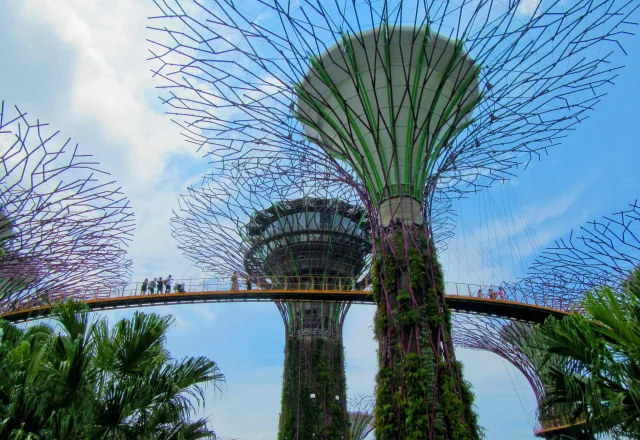 Singapore Tour Package from Delhi with Flight (4)