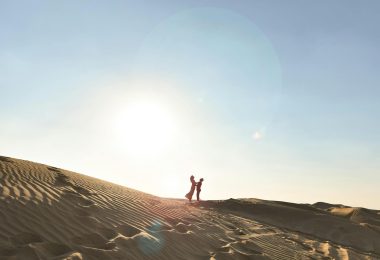 pexels-thelazyartist-1446512